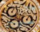 N+ Factory Swiss Clone Rolex Eye Of The Tiger Daytona Gold Case Rubber Strap Watch (4)_th.jpg